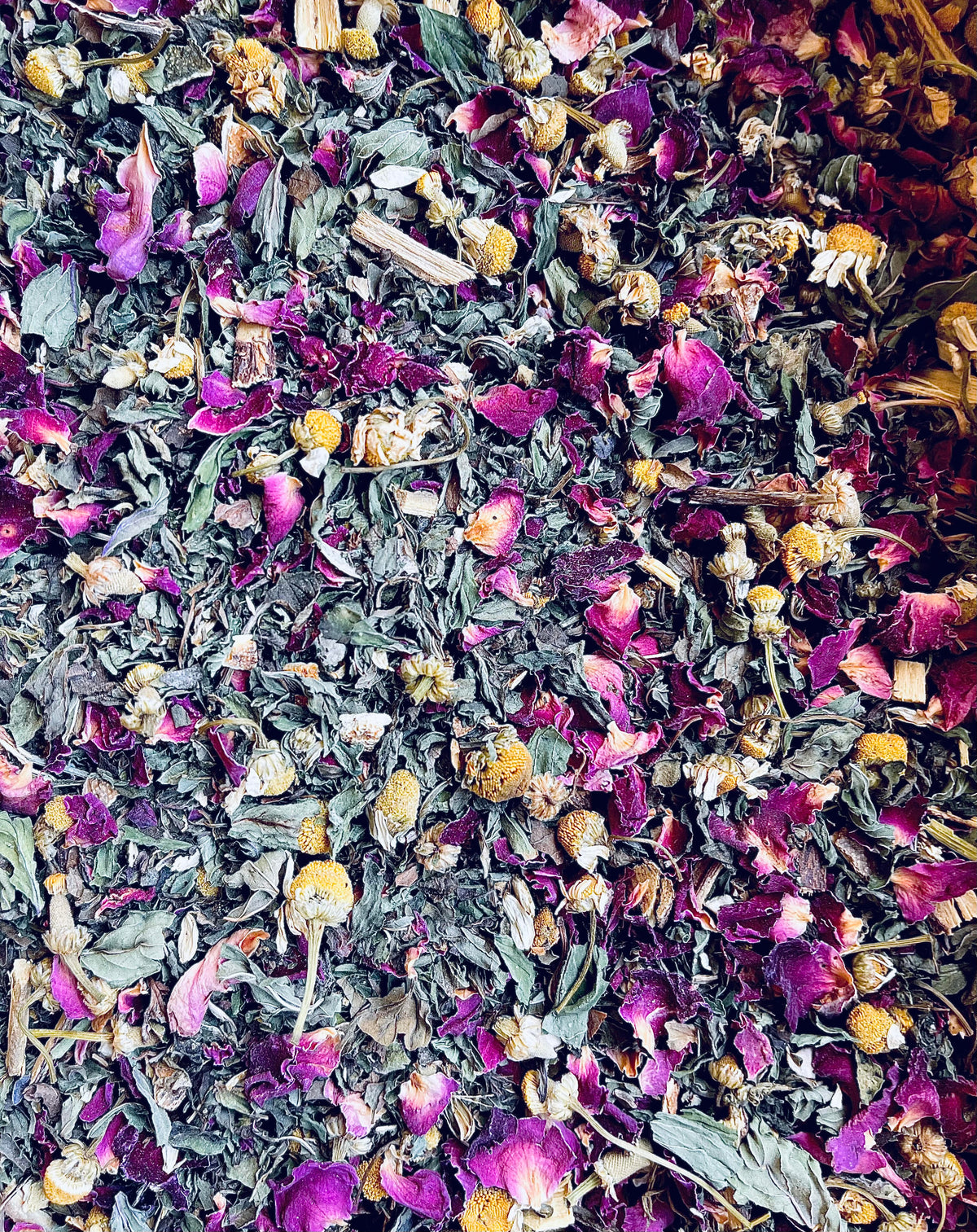 About Us – Seven Trees Tea